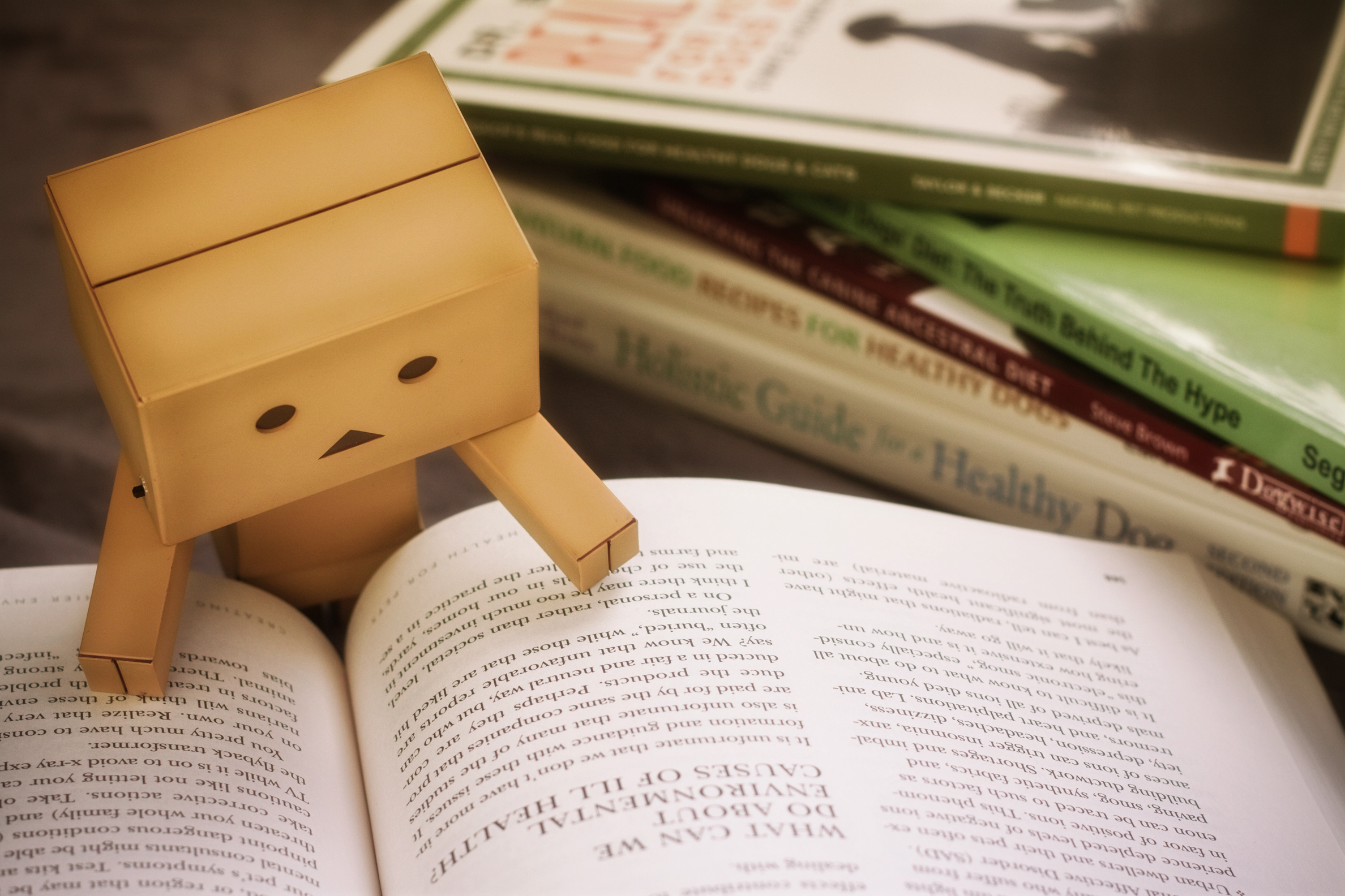 Sad danbo-Creative Design, HD wallpaper